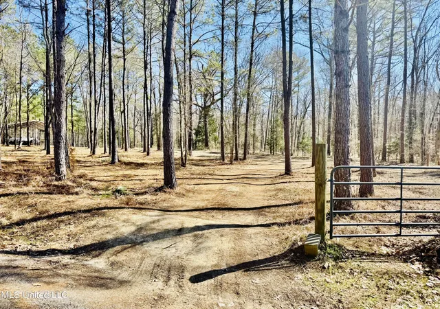 Homes for sale in Florence, MS | 104 Mamie Mangum Rd, Florence, MS 39073 | MLS# 4138533