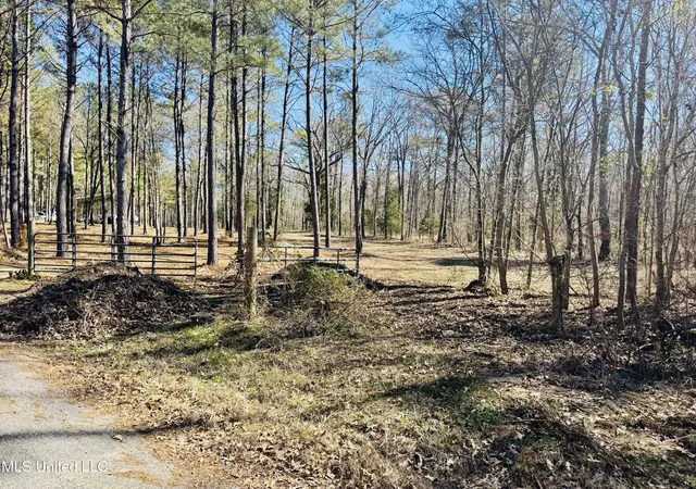 Homes for sale in Florence, MS | 104 Mamie Mangum Rd, Florence, MS 39073 | MLS# 4138533