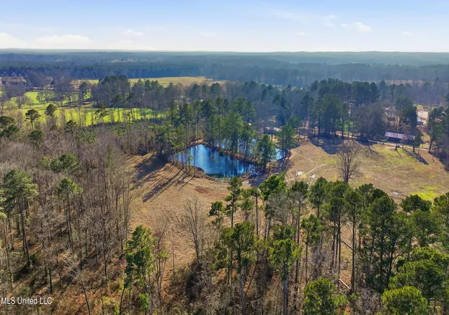 Photo 2 of Land for sale at 254 Red Allen Rd, Brandon, MS 39042 | MLS# 4138564 | Listing updated on 2026-09-01