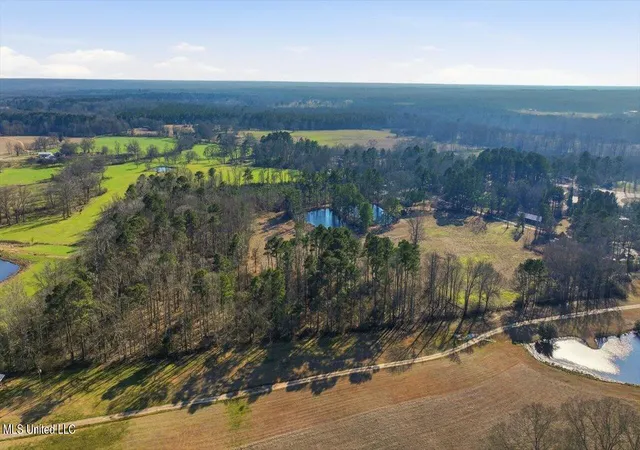 Photo 3 of Land for sale at 254 Red Allen Rd, Brandon, MS 39042 | MLS# 4138564 | Listing updated on 2026-09-01