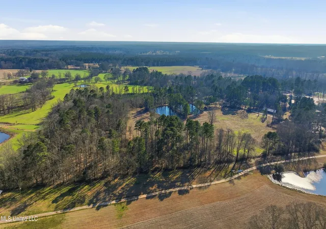Photo 4 of Land for sale at 254 Red Allen Rd, Brandon, MS 39042 | MLS# 4138564 | Listing updated on 2026-09-01