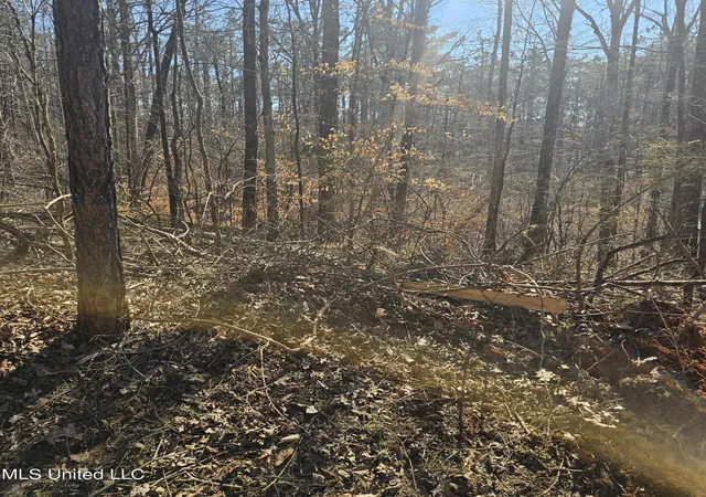 Photo 3 of Land for sale at 1204 Lake Breeze Dr, Hickory Flat, MS 38633 | MLS# 4138787 | Listing updated on 2026-03-30