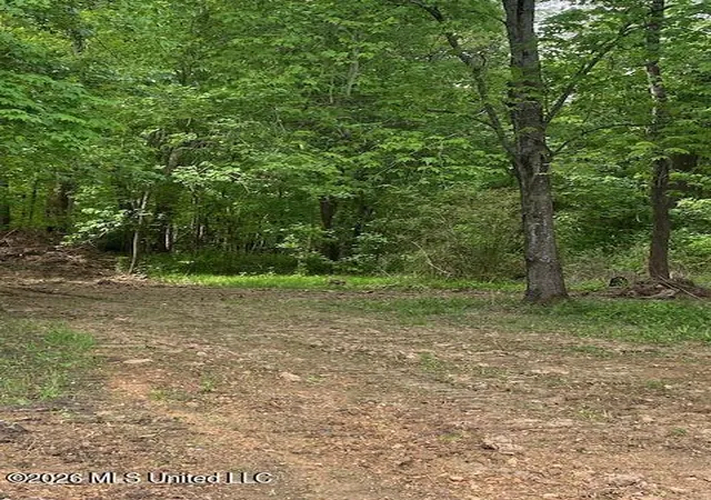Homes for sale in Coldwater, MS | 2085 Prichard Rd, Coldwater, MS 38618 | MLS# 4138785