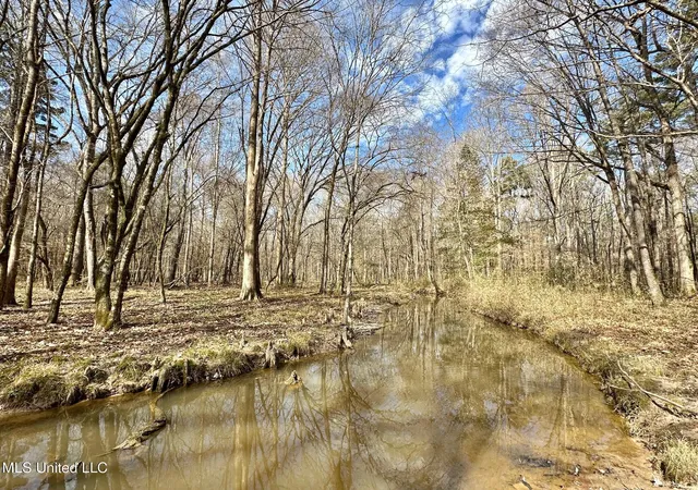 Photo 4 of Land for sale at 5 Scarborough Rd, Carthage, MS 39051 | MLS# 4138954 | Listing updated on 2026-07-23