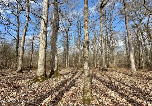 Photo 1 of Land for sale at 5 Scarborough Rd, Carthage, MS 39051 | MLS# 4138954 | Listing updated on 2026-07-23