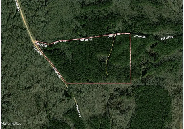 Photo 2 of Land for sale at 7 Cut Off Rd, Carthage, MS 39051 | MLS# 4138961 | Listing updated on 2026-09-01