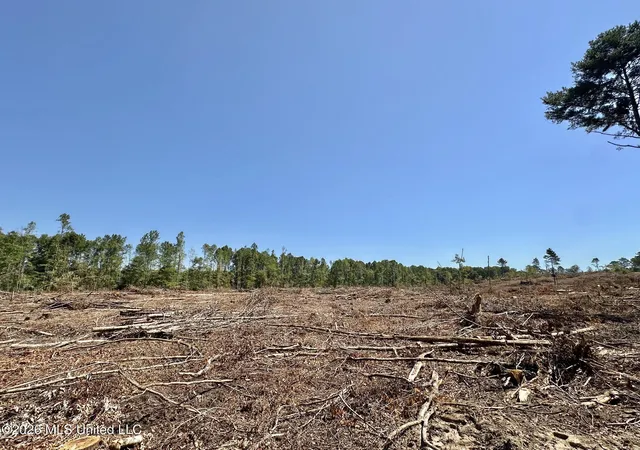 Photo 1 of Land for sale at 7 Cut Off Rd, Carthage, MS 39051 | MLS# 4138961 | Listing updated on 2026-09-01