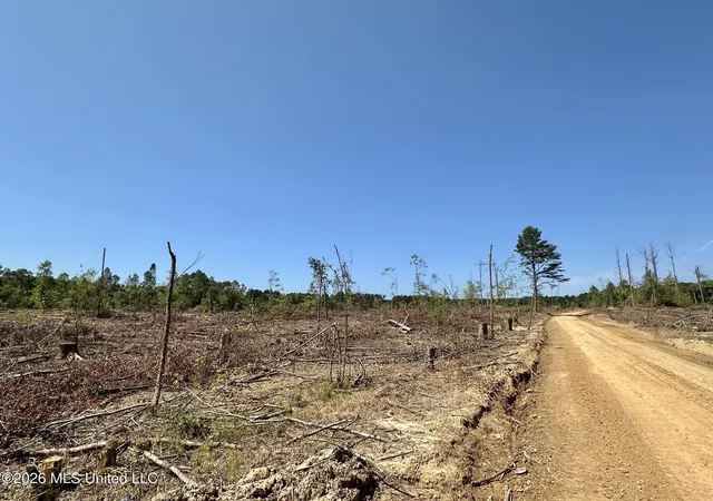 Photo 4 of Land for sale at 7 Cut Off Rd, Carthage, MS 39051 | MLS# 4138961 | Listing updated on 2026-09-01
