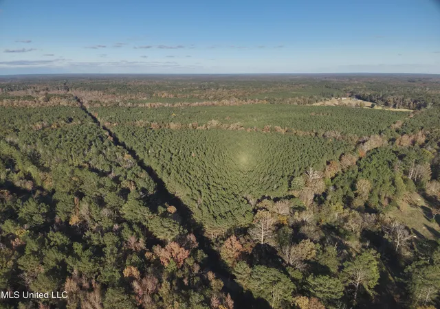 Photo 1 of Land for sale at Lot 1 Whiddon Rd, Canton, MS 39046 | MLS# 4139177 | Listing updated on 2026-08-28