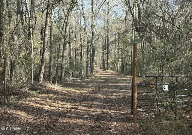 Photo 2 of Land for sale at Lot 2 Whiddon Rd, Canton, MS 39046 | MLS# 4139178 | Listing updated on 2026-08-28