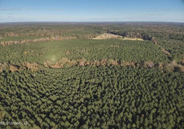 Photo 4 of Land for sale at Lot 2 Whiddon Rd, Canton, MS 39046 | MLS# 4139178 | Listing updated on 2026-08-28