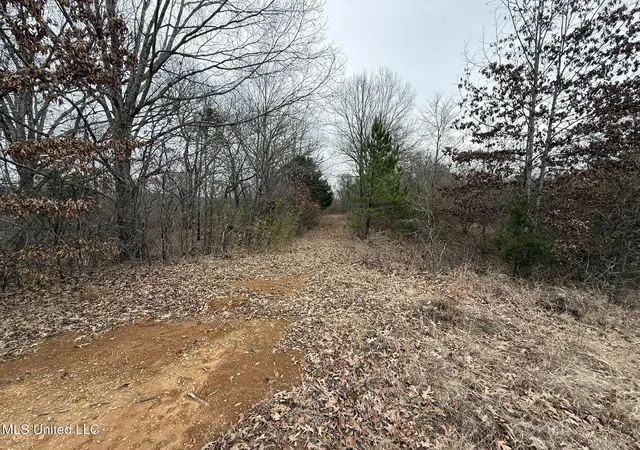 2nd image of 15 Polk Ln, Olive Branch, MS 38654 | MLS# 4139259