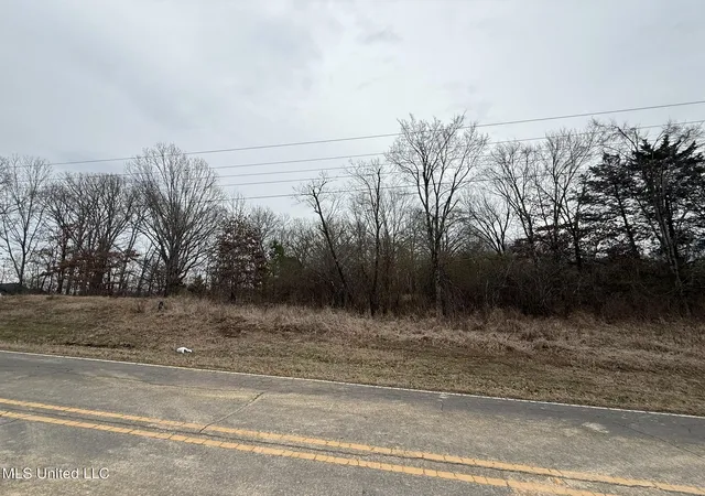 Photo 3 of Land for sale at 15 Polk Ln, Olive Branch, MS 38654 | MLS# 4139259 | Listing updated on 2026-07-06