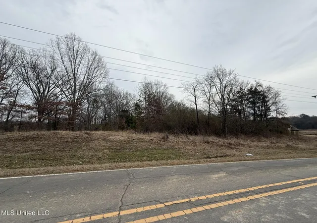 4th image of 15 Polk Ln, Olive Branch, MS 38654 | MLS# 4139259