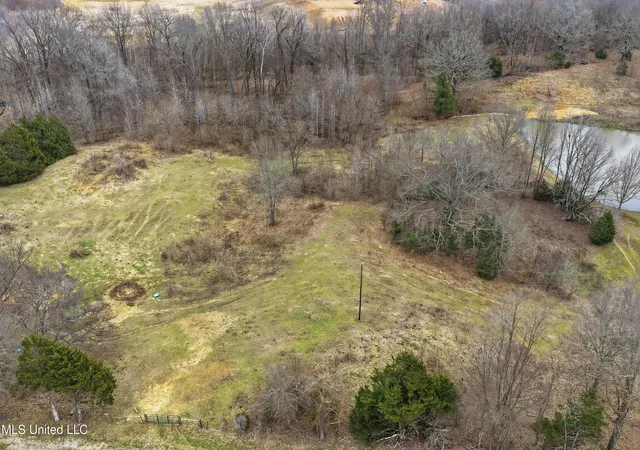 Homes for sale in Senatobia, MS | 0 Brownlee Rd, Senatobia, MS 38668 | MLS# 4139265