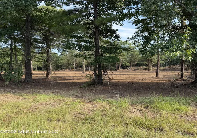 Photo 1 of Land for sale at Us 80, Lawrence, MS 39336 | MLS# 4139279 | Listing updated on 2026-08-27