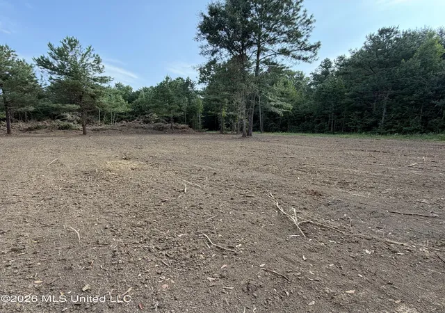Photo 2 of Land for sale at Us 80, Lawrence, MS 39336 | MLS# 4139279 | Listing updated on 2026-08-27