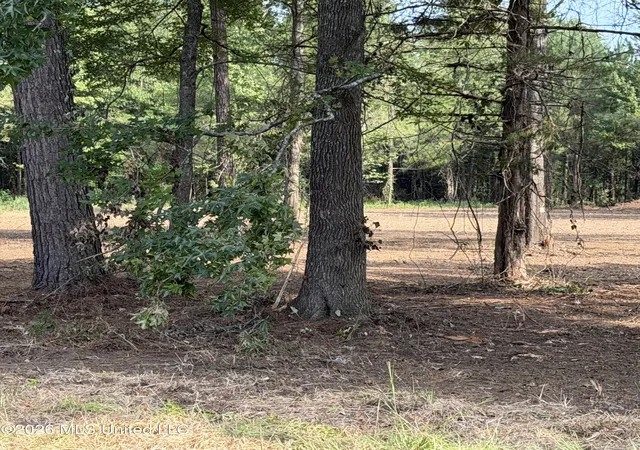 Photo 3 of Land for sale at Us 80, Lawrence, MS 39336 | MLS# 4139279 | Listing updated on 2026-08-27