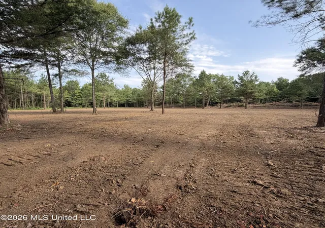 Photo 3 of Land for sale at US 80, Lawrence, MS 39336 | MLS# 4139279 | Listing updated on 2026-08-27