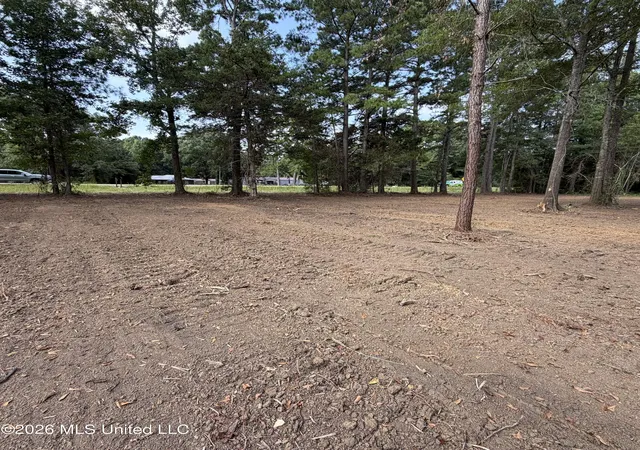 Photo 4 of Land for sale at US 80, Lawrence, MS 39336 | MLS# 4139279 | Listing updated on 2026-08-27