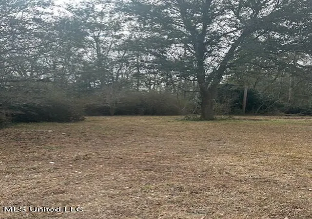Photo 3 of Land for sale at Ms 53 Lot 2, Gulfport, MS 39503 | MLS# 4139477 | Listing updated on 2026-07-16