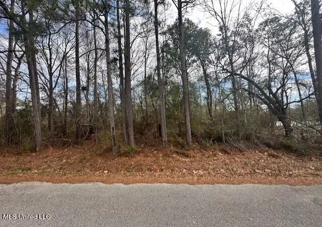 Photo 3 of Land for sale at Ms 53 Lot 4, Gulfport, MS 39503 | MLS# 4139479 | Listing updated on 2026-07-16