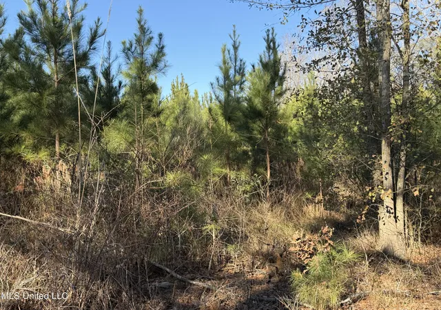Photo 1 of Land for sale at Delancey Rd, Braxton, MS 39044 | MLS# 4139370 | Listing updated on 2026-08-27
