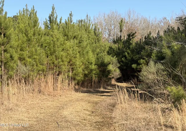 Photo 2 of Land for sale at Delancey Rd, Braxton, MS 39044 | MLS# 4139370 | Listing updated on 2026-08-27