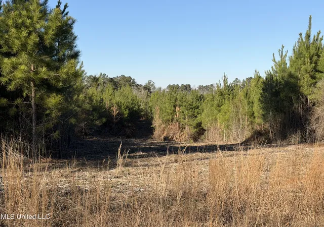 Photo 3 of Land for sale at Delancey Rd, Braxton, MS 39044 | MLS# 4139370 | Listing updated on 2026-08-27