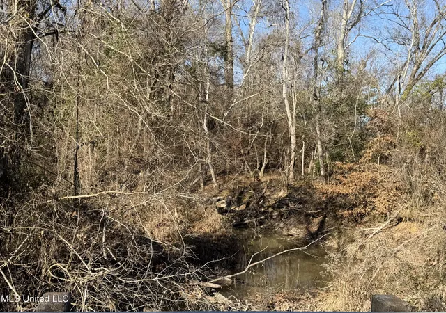 Photo 3 of Land for sale at Delancey Rd, Braxton, MS 39044 | MLS# 4139370 | Listing updated on 2026-08-27