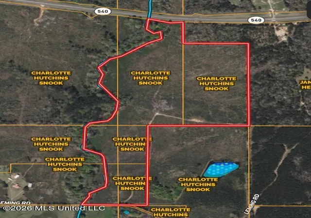 Photo 4 of Land for sale at Delancey Rd, Braxton, MS 39044 | MLS# 4139370 | Listing updated on 2026-08-27