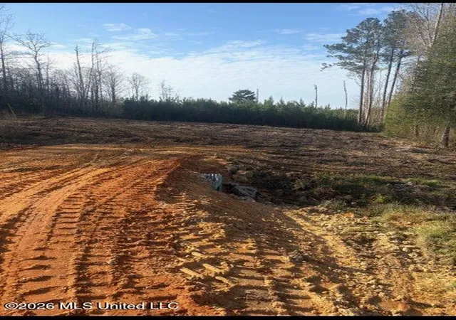 Photo 9 of Land for sale at Delancey Rd, Braxton, MS 39044 | MLS# 4139370 | Listing updated on 2026-08-27