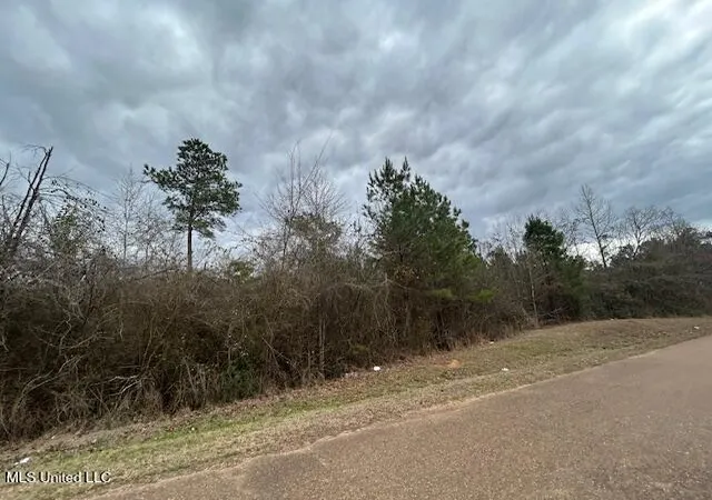 Homes for sale in Gloster, MS | Oak St, Gloster, MS 39638 | MLS# 4140048