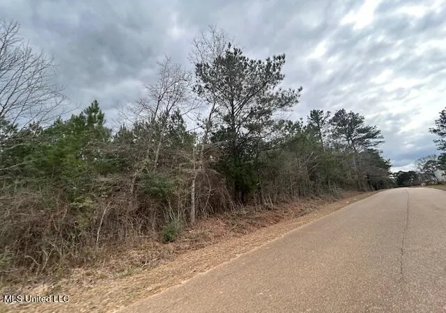 Homes for sale in Gloster, MS | Oak St, Gloster, MS 39638 | MLS# 4140048