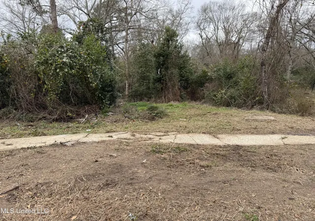 Homes for sale in Mc Comb, MS | 318 S Cherry St, Mc Comb, MS 39648 | MLS# 4139664