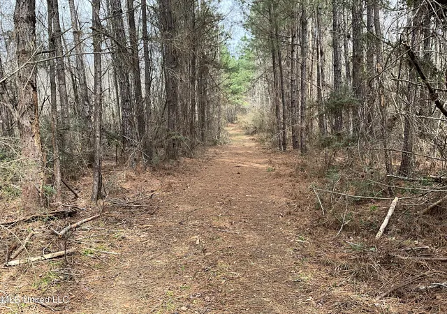 Homes for sale in Gloster, MS | Berwick Cassels Rd, Gloster, MS 39638 | MLS# 4140028