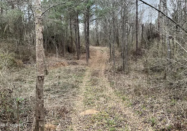 Homes for sale in Gloster, MS | Berwick Cassels Rd, Gloster, MS 39638 | MLS# 4140028