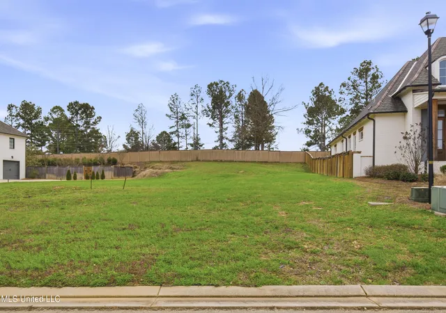 4th image of 00 Stone Lake Dr, Madison, MS 39110 | MLS# 4139894