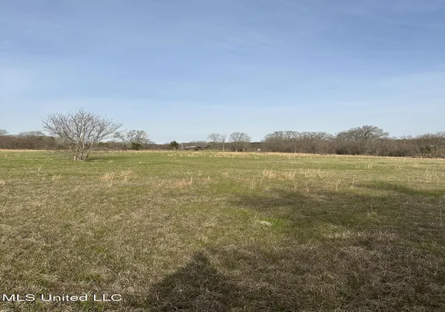 Photo 1 of Land for sale at Highway 469, Florence, MS 39073 | MLS# 4140333 | Listing updated on 2026-03-30