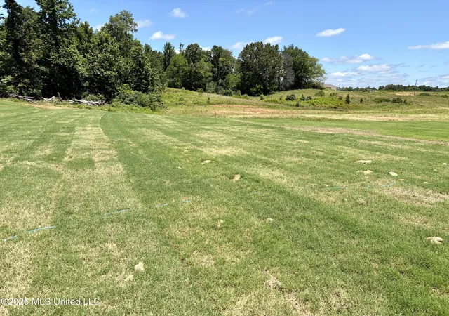 12th image of 70 Farley Rd, Byhalia, MS 38611 | MLS# 4140044