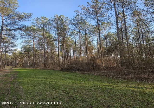 Homes for sale in Bogue Chitto, MS | Us Hwy 51, Bogue Chitto, MS 39629 | MLS# 4140640