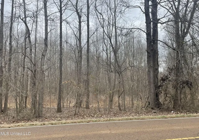 Homes for sale in Senatobia, MS | Looxahoma Tyro Rd, Senatobia, MS 38668 | MLS# 4140530
