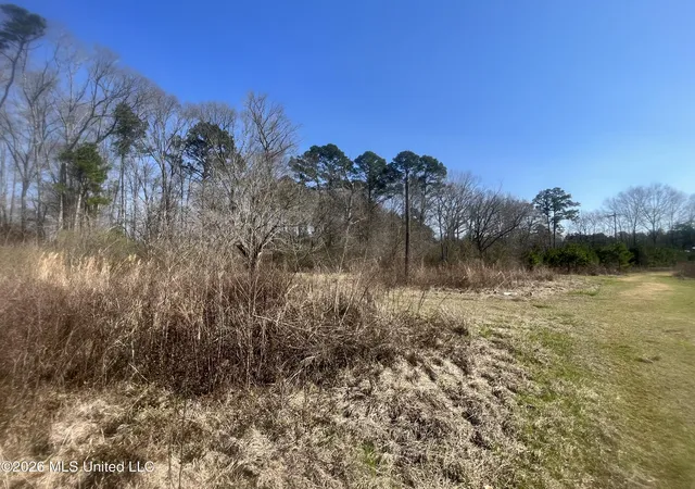 Homes for sale in Bogue Chitto, MS | 2104 Us 51, Bogue Chitto, MS 39629 | MLS# 4140522