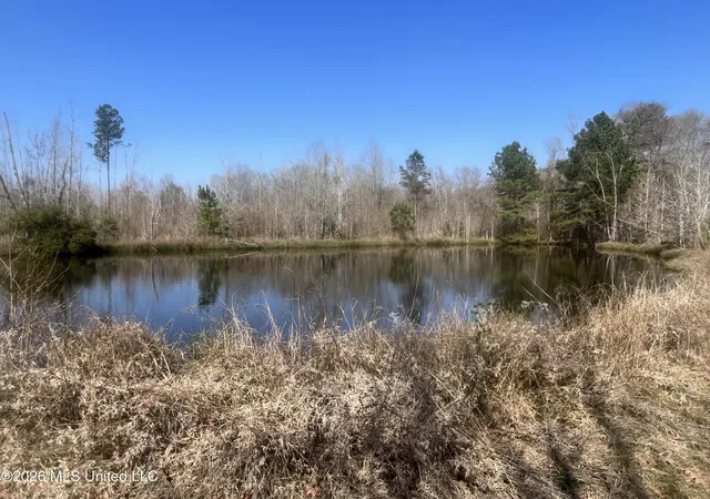 Homes for sale in Bogue Chitto, MS | 2104 Us 51, Bogue Chitto, MS 39629 | MLS# 4140522