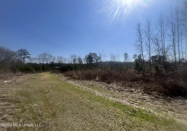 Homes for sale in Bogue Chitto, MS | 2104 Us 51, Bogue Chitto, MS 39629 | MLS# 4140522