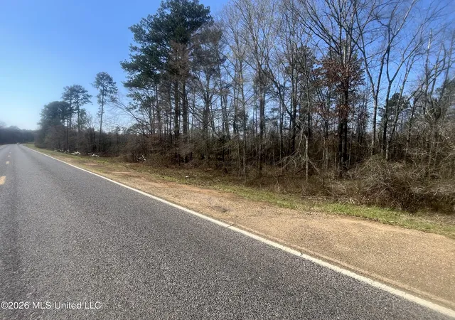 Homes for sale in Bogue Chitto, MS | 2104 Us-51, Bogue Chitto, MS 39629 | MLS# 4140522
