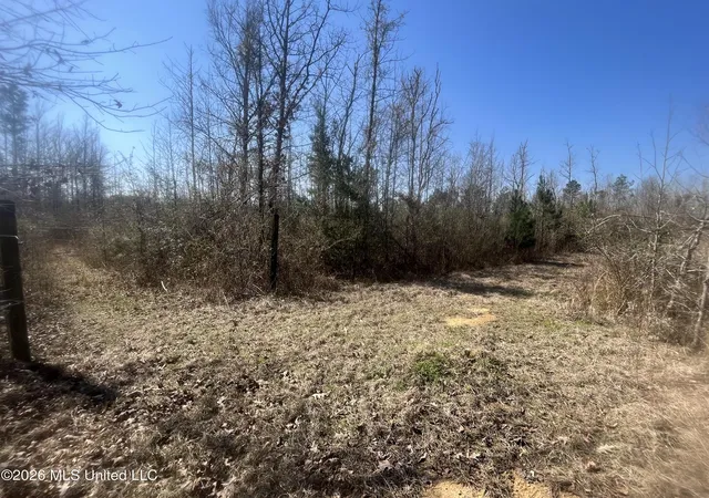 Homes for sale in Bogue Chitto, MS | 2104 Us-51, Bogue Chitto, MS 39629 | MLS# 4140522