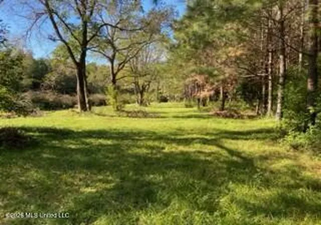 Homes for sale in Osyka, MS | 1021 Elarton Rd, Osyka, MS 39657 | MLS# 4141005