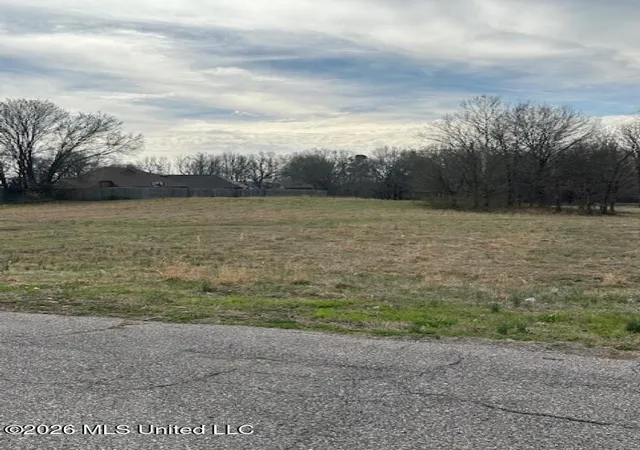 Homes for sale in Horn Lake, MS | W Alden Lake Dr, Horn Lake, MS 38637 | MLS# 4140906