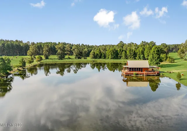 Homes for sale in Osyka, MS | 2053 Osyka Progress Rd, Osyka, MS 39657 | MLS# 4140938